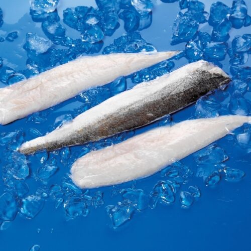 FILETE MERLUZA NACIONAL